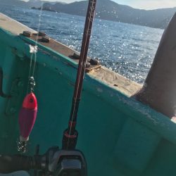 五カ所湾イカメタル