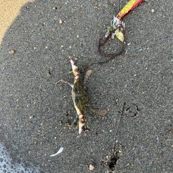 8耐後にこちらも耐久レース！