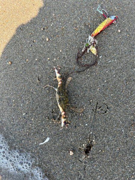 8耐後にこちらも耐久レース！