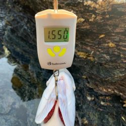 ショアジギング楽しい！