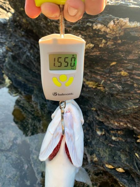 ショアジギング楽しい！