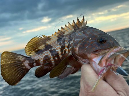 夏でも立派な奴がいた