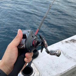 イカメタル2回目