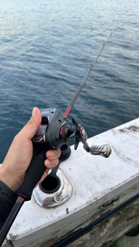 イカメタル2回目