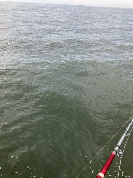 ムコイチタコ🐙