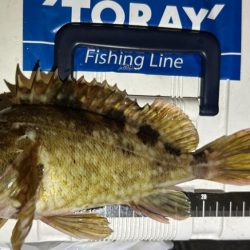 渋い時はライトワインド