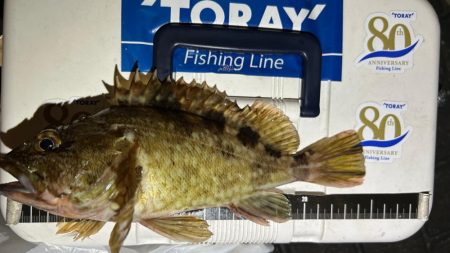 渋い時はライトワインド