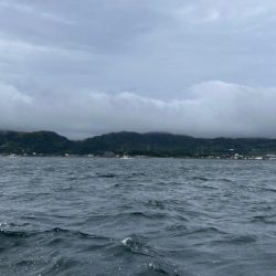 淡路島沖でタコ釣り!