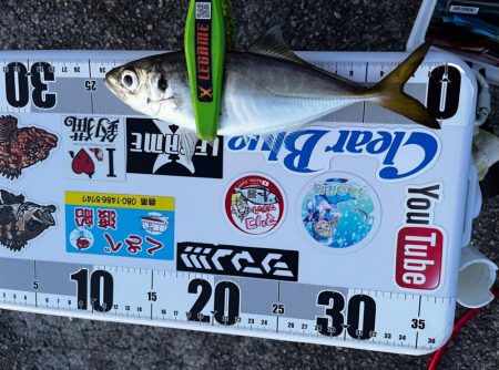 数釣りアジング