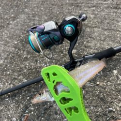 赤穂周辺でキス釣り｜序盤はサイズ良かったが次第にピンギス