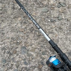 雨上がりの強行釣り日誌