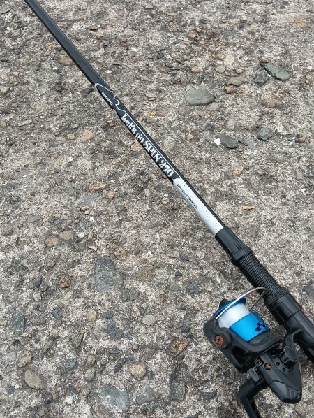 雨上がりの強行釣り日誌