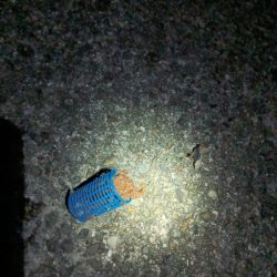 午前0時半からの大サバ釣り