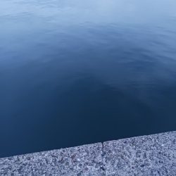 タチウオ不発でアジ好調