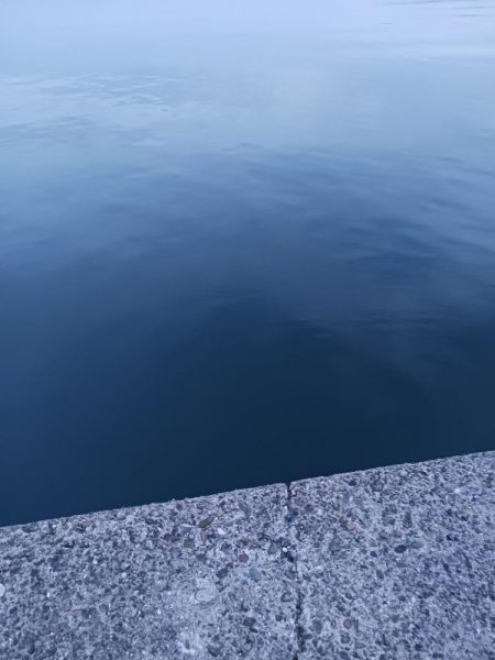 タチウオ不発でアジ好調