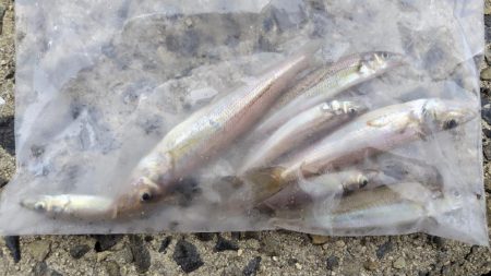 雨の合間を縫って