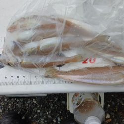 室津のキス釣り