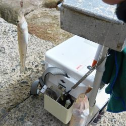 大塩海岸のキス釣り