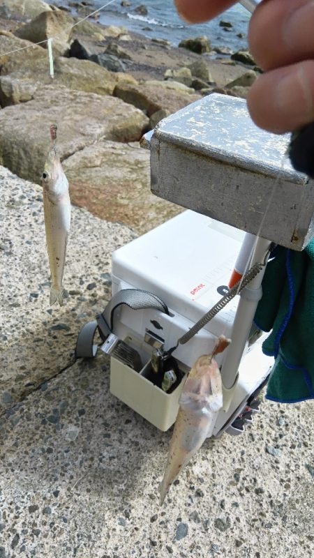 大塩海岸のキス釣り