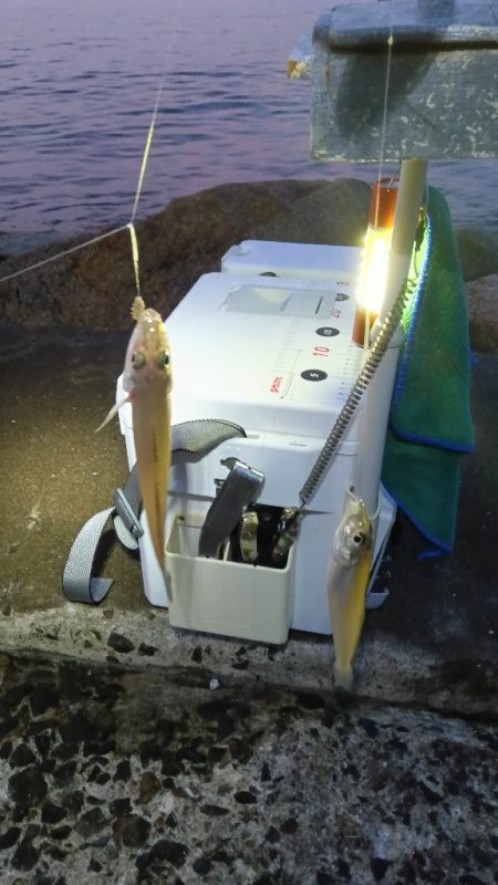 苅屋海岸のキス釣り