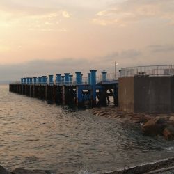 クサフグの猛攻に…大大苦戦