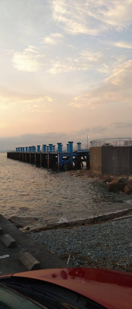 クサフグの猛攻に…大大苦戦