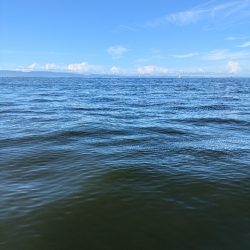 久々に武庫川一文字