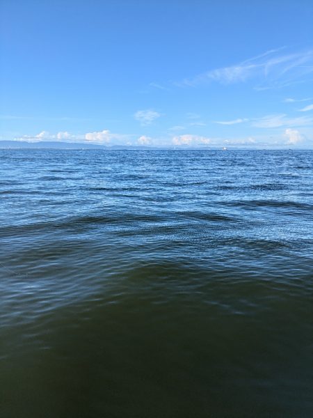 久々に武庫川一文字