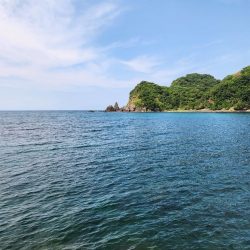 ロックフィッシュ