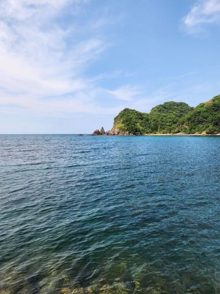 ロックフィッシュ