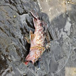 久しぶりの遠征