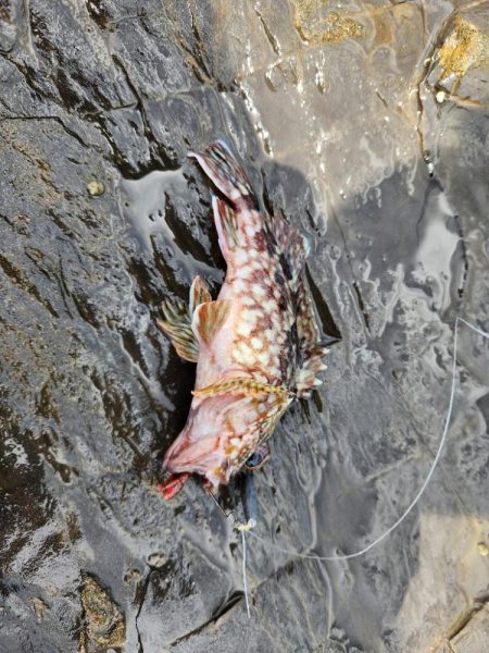 久しぶりの遠征