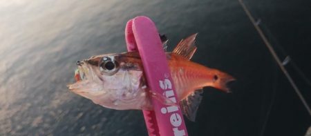 ジグサビキで3目