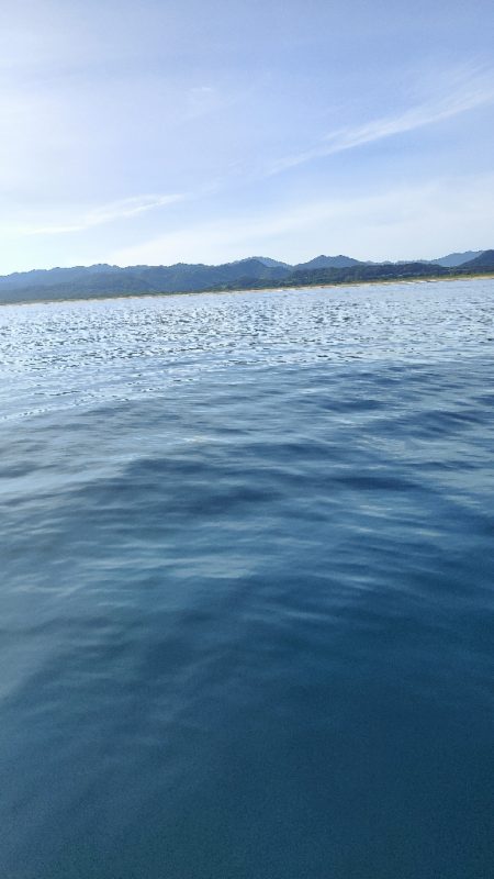 ロックフィッシュ