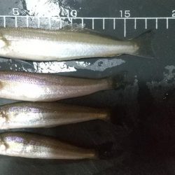 チャリコ湧いてる