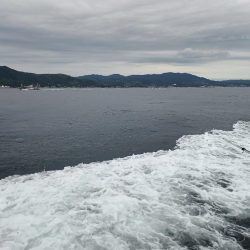 今年初の船タコ