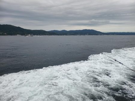 今年初の船タコ