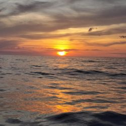 イカメタル　浜坂