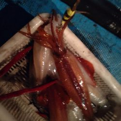 大雨明けの小雨