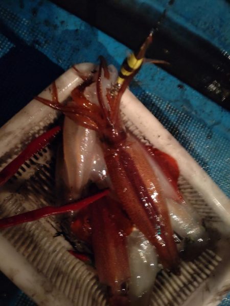 大雨明けの小雨