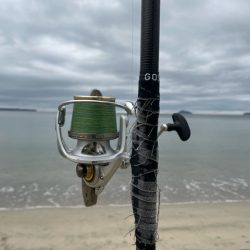 雨上がりのサーフでキス釣りしてきました