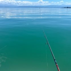 今年も行ってきました、鹿児島錦江湾のテンヤマダイ