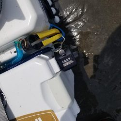 久し振りの投稿