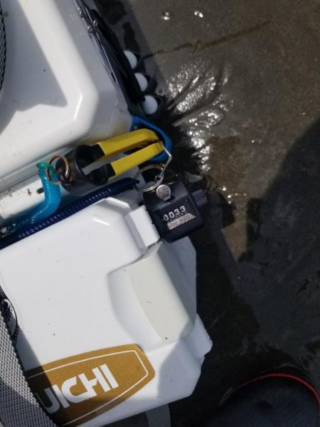 久し振りの投稿