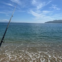 久しぶりのローカル大会出場でした