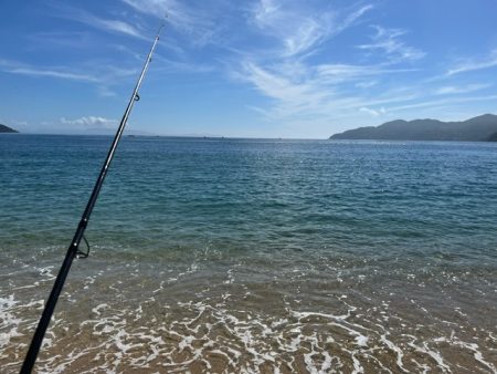 久しぶりのローカル大会出場でした