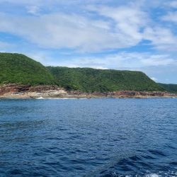 和歌山市江(吉丸渡船)で磯夜釣り