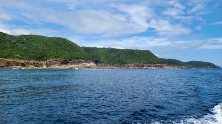 和歌山市江(吉丸渡船)で磯夜釣り