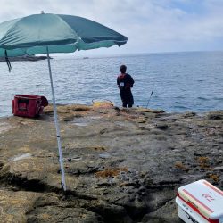 和歌山市江（吉丸渡船）でグレ釣り