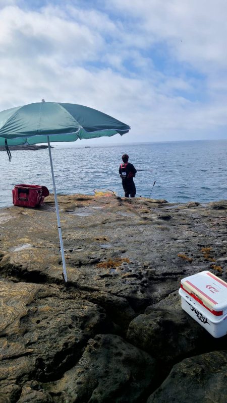 和歌山市江（吉丸渡船）でグレ釣り